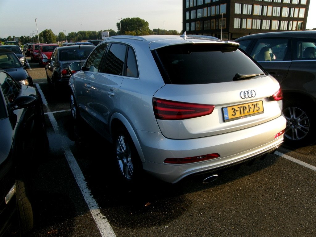 298794RSQ3688.jpg