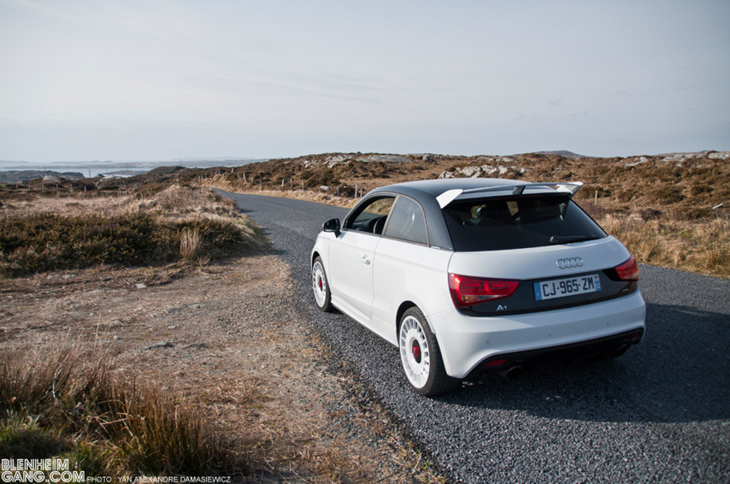 299020A1QUATTRO528.jpg