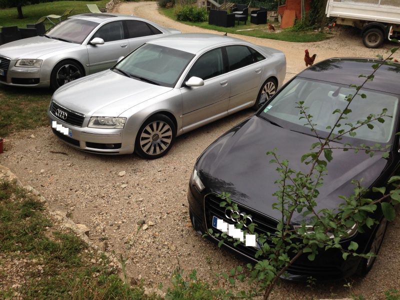 299046IMG6117b.jpg