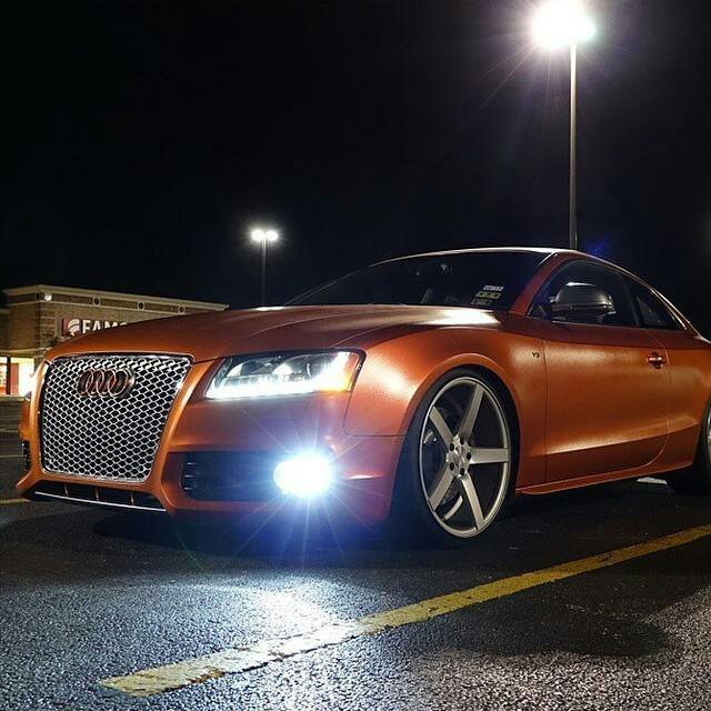 2cb4552a2378b64c87c33bf72b8c722c.jpg