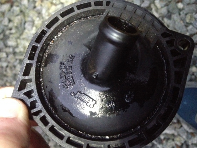 301418image7.jpg