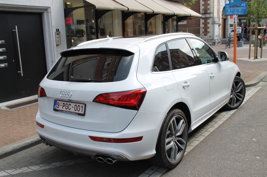 301604AUDISQ5587.jpg