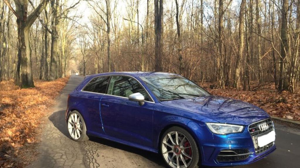301923817S38P.jpg