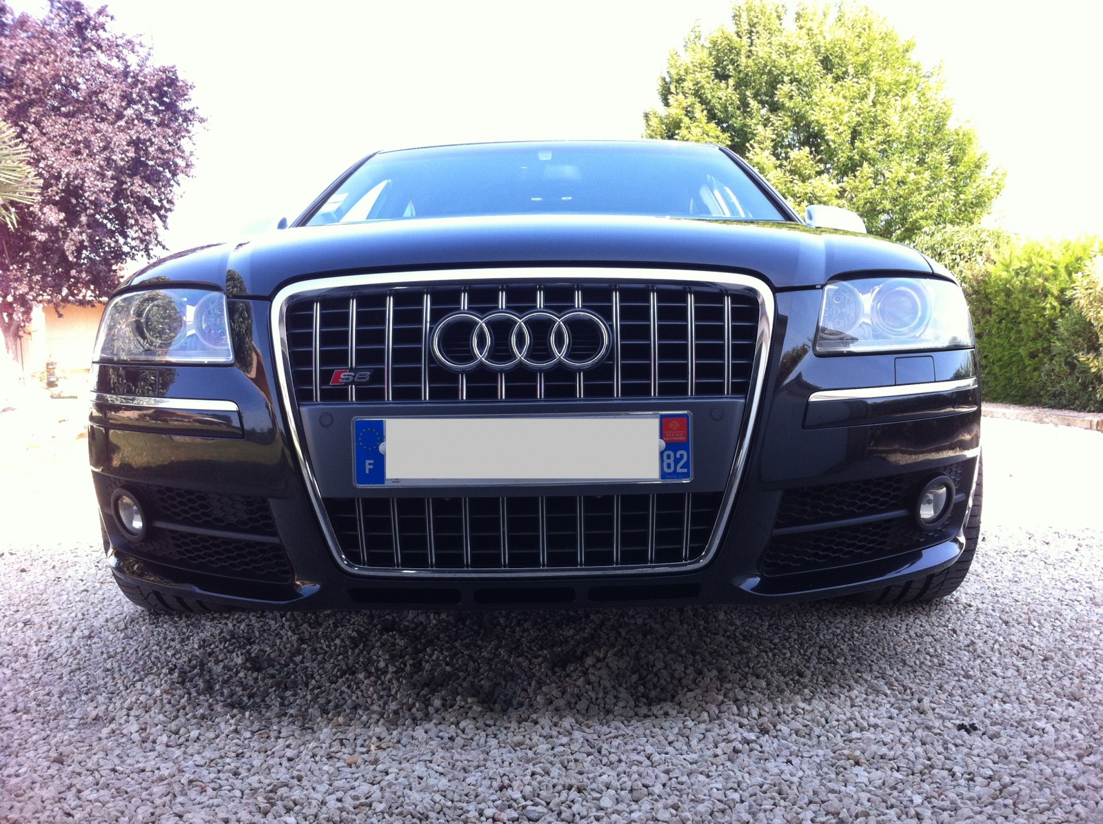 302057IMG4662.jpg
