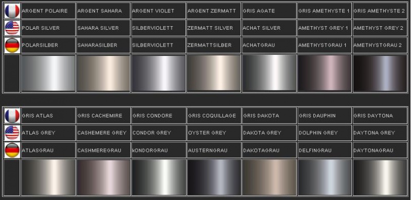 302840577488ArgentGris1.jpg