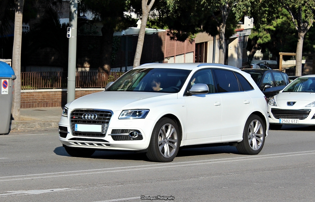 303043AUDISQ51389.jpg