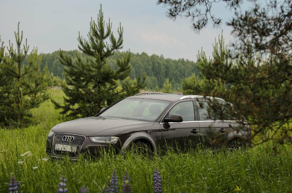 3033202102AUDIA4ALLROAD.jpg