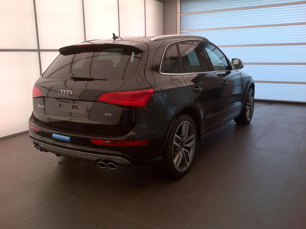 303406AUDISQ5166.jpg