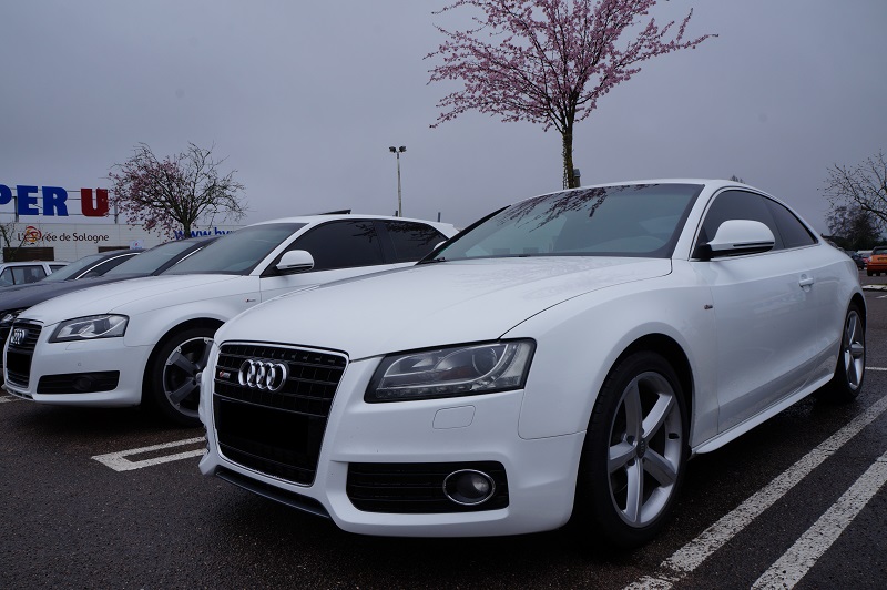 303429DSC02970.jpg