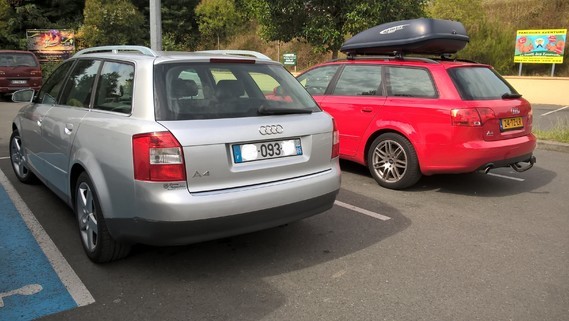 img-6856924242.jpg?v=1