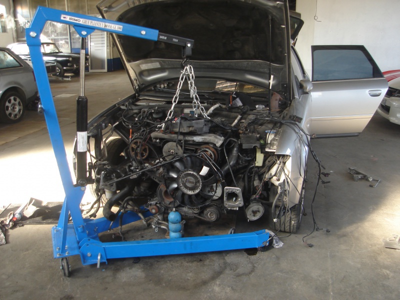 307849DSC0313.jpg