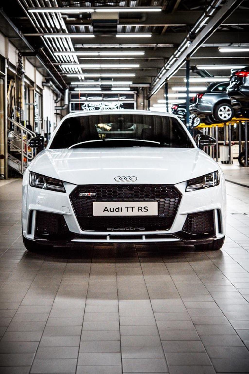 309497AUDITTRS8S0556.jpg