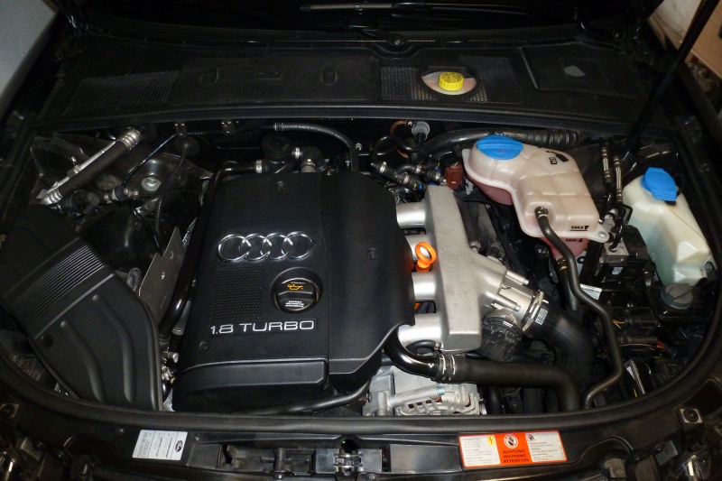 309629P1020003.jpg