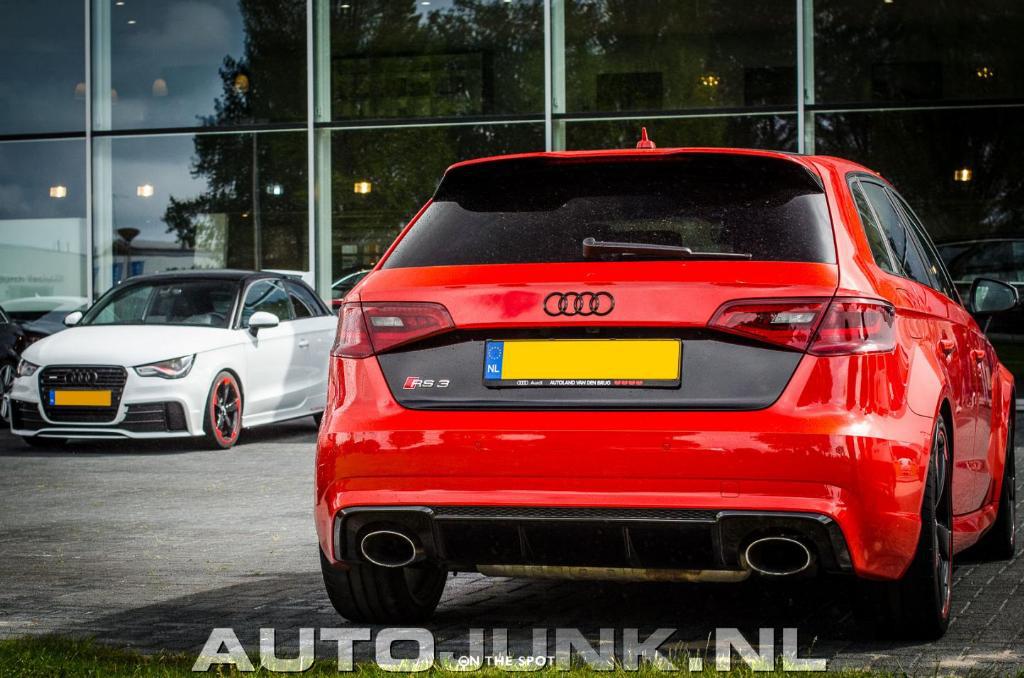 309995RS38V1202.jpg
