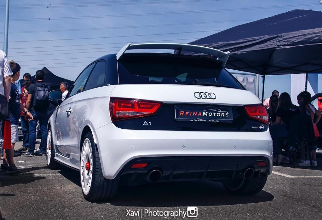 310042A1QUATTRO1210.jpg