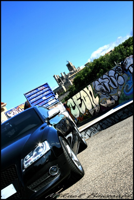 310374IMG3924.jpg