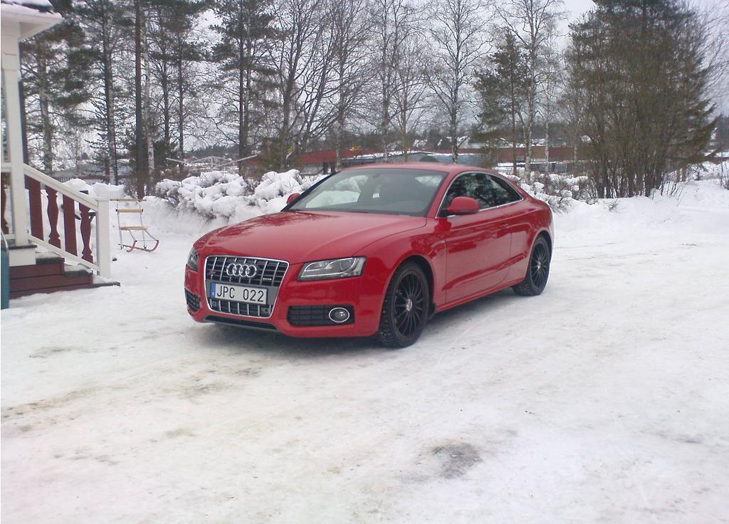 310468335NEIGEESQUIROU.jpg