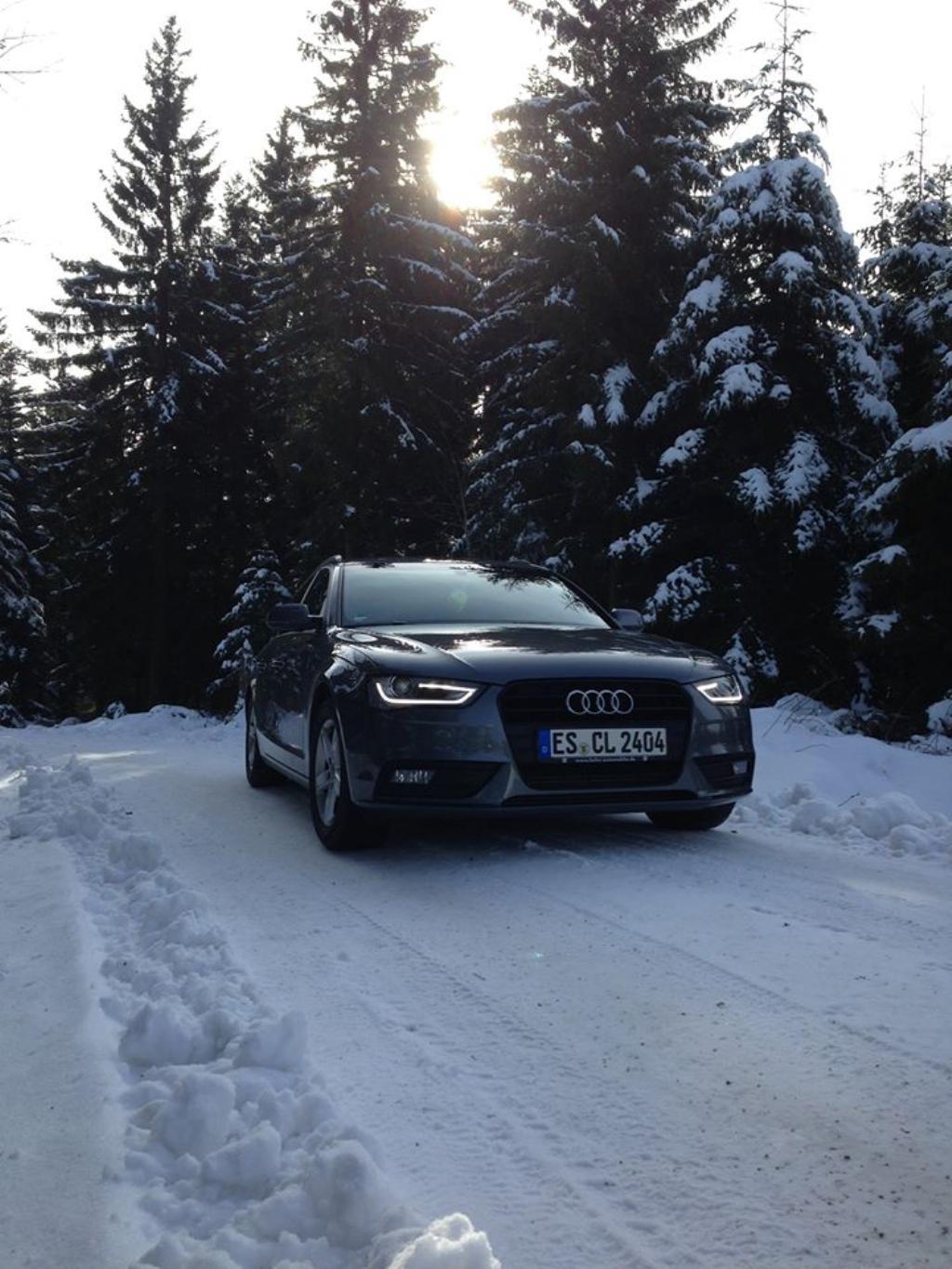 311089868NEIGE.jpg