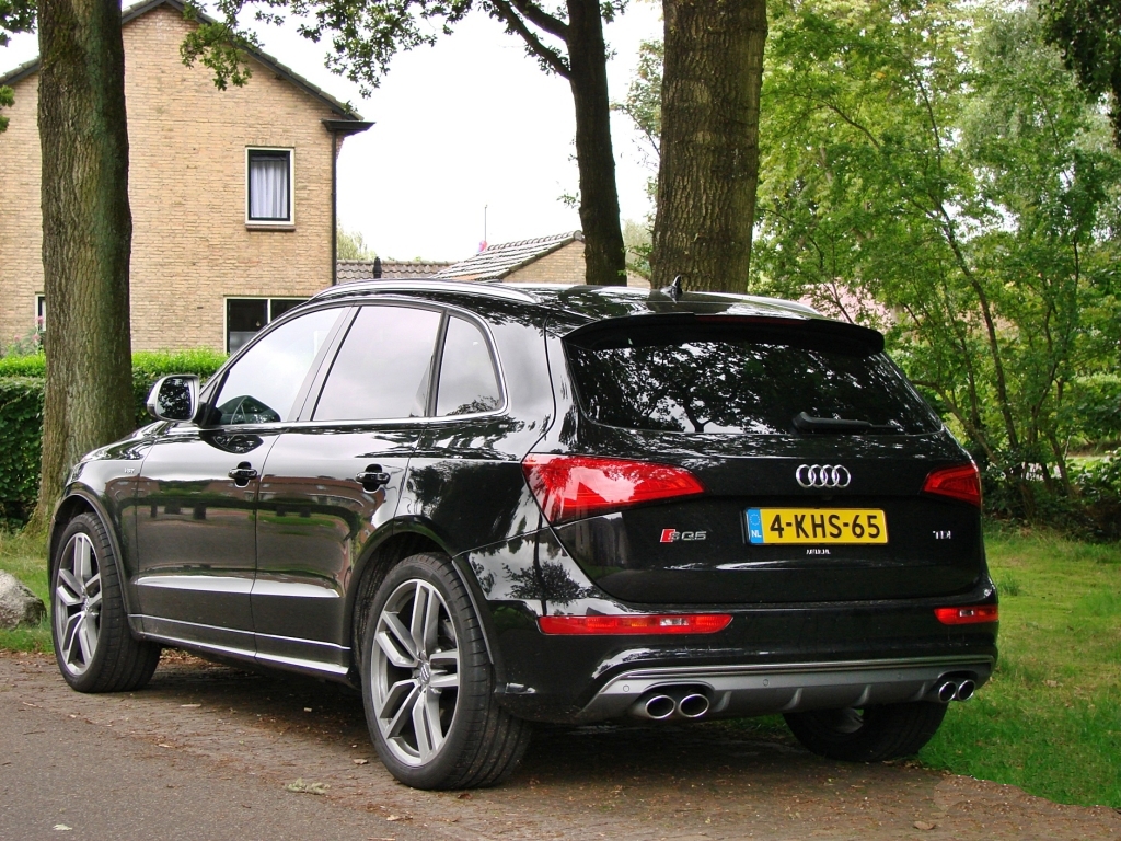 311347AUDISQ5869.jpg