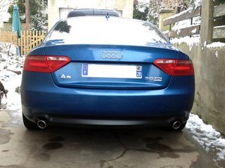 313046IMG0586.jpg