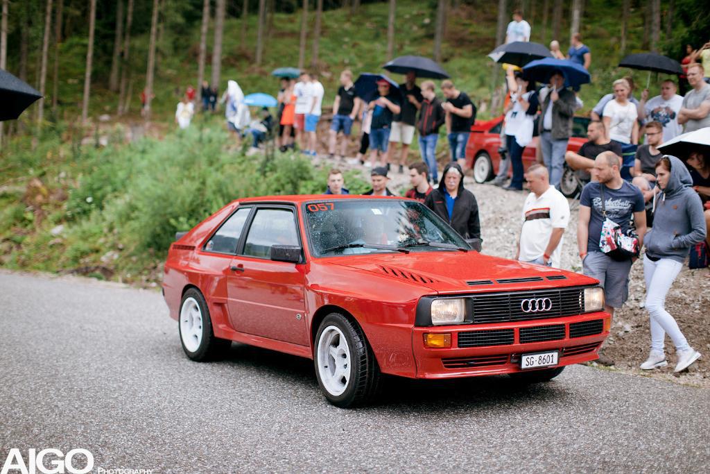 313069URQUATTRO1868.jpg