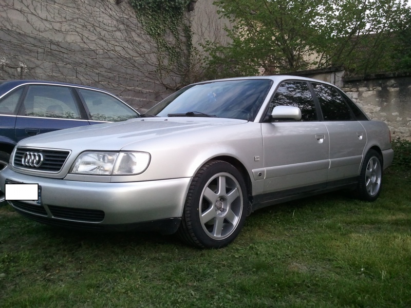 313823Photo3937.jpg