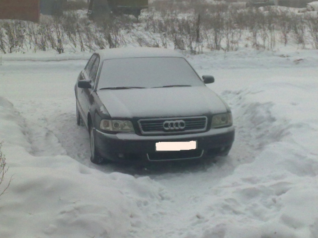 317210425NEIGE.jpg