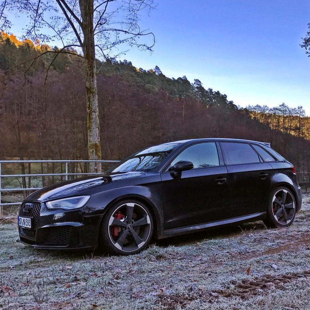 317799RS38V1782.jpg