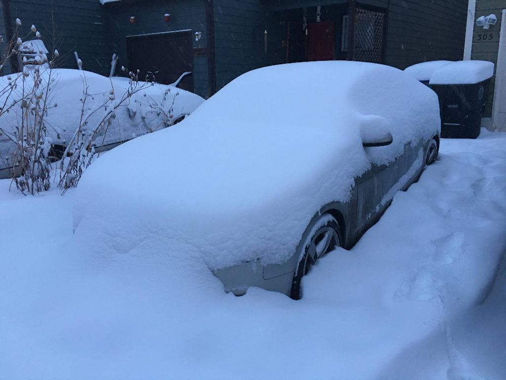 3185971754NEIGE.jpg