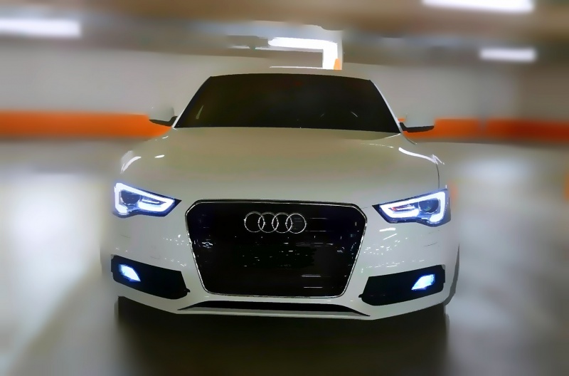 319811WiZesaudi.jpg