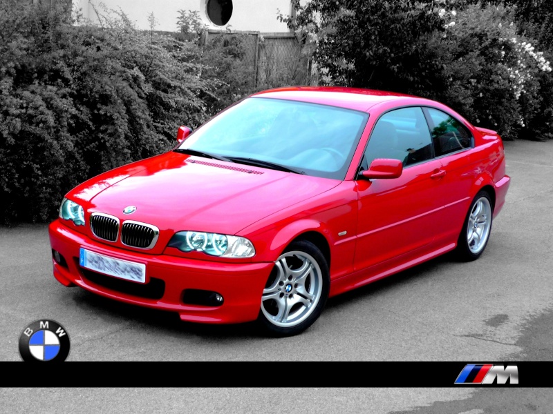 320_ci10.jpg