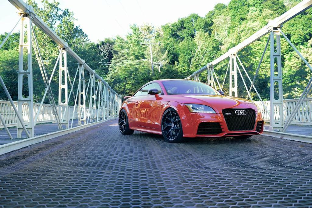 321871AUDITTRS1394.jpg