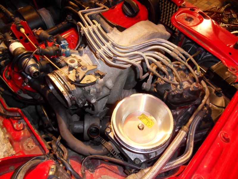 323717SDC12288.jpg