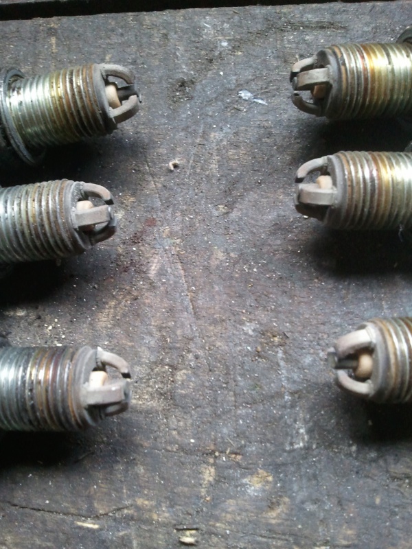 324914Photo6371.jpg
