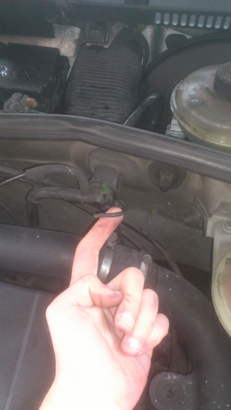 324966DSC0491.jpg