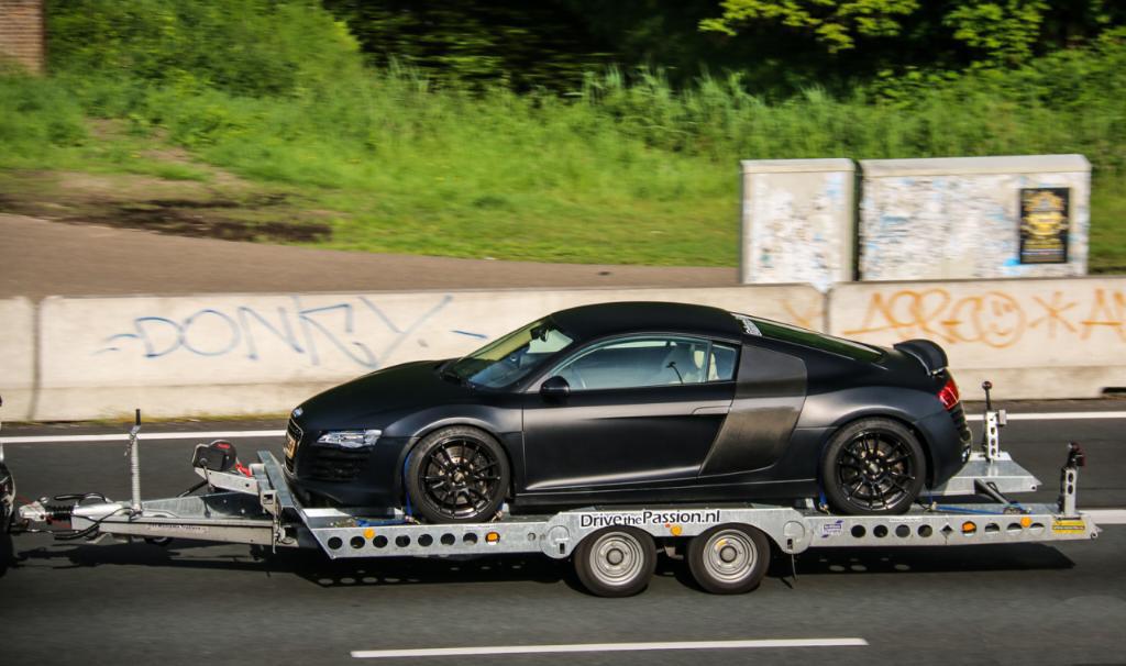 3258573497R8.jpg