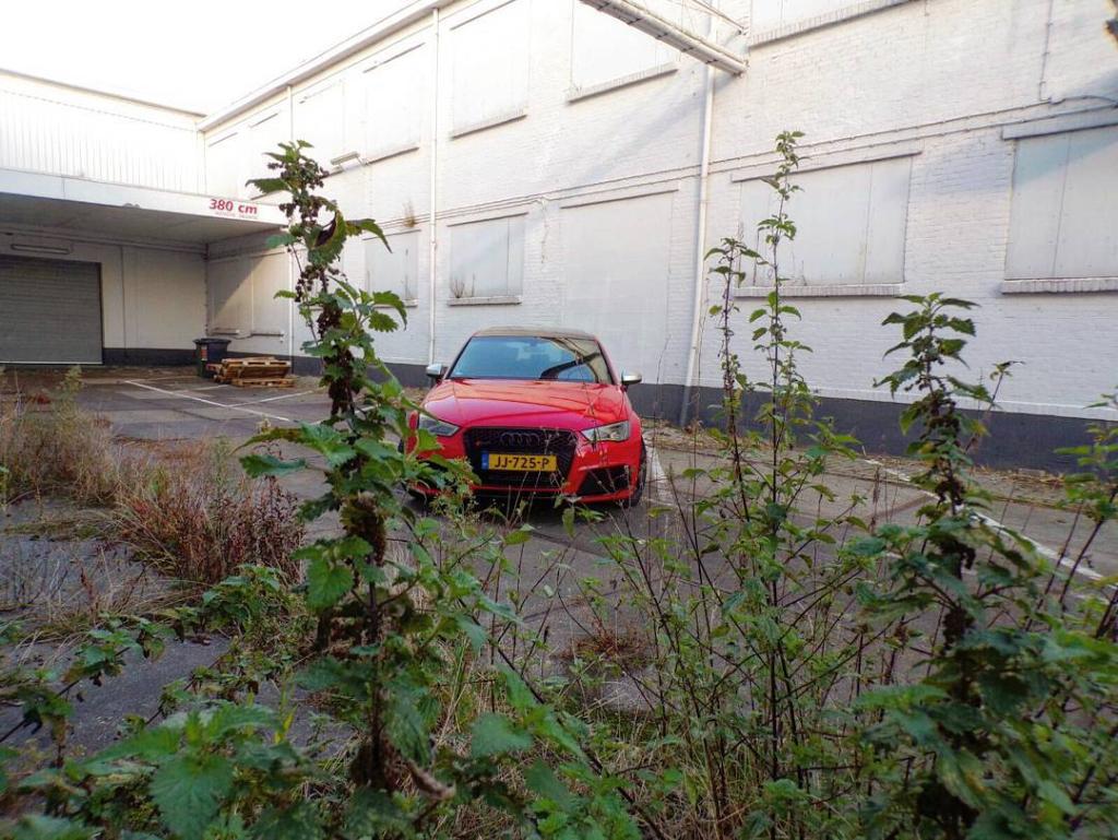 326135RS38V1623.jpg
