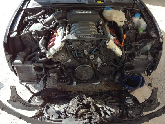 img-673752778f.jpg?v=1