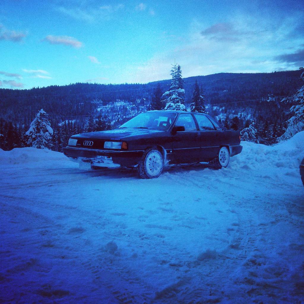 328778840NEIGE.jpg