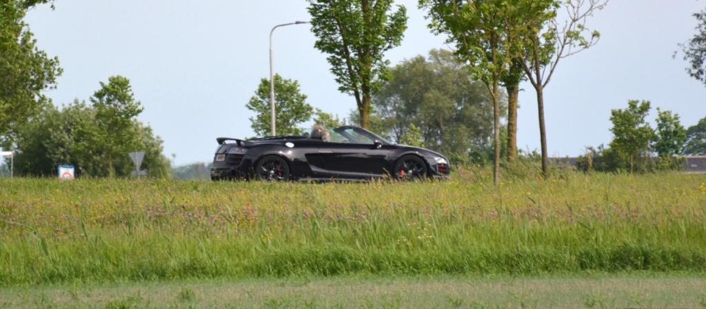 329556R8GT1916.jpg