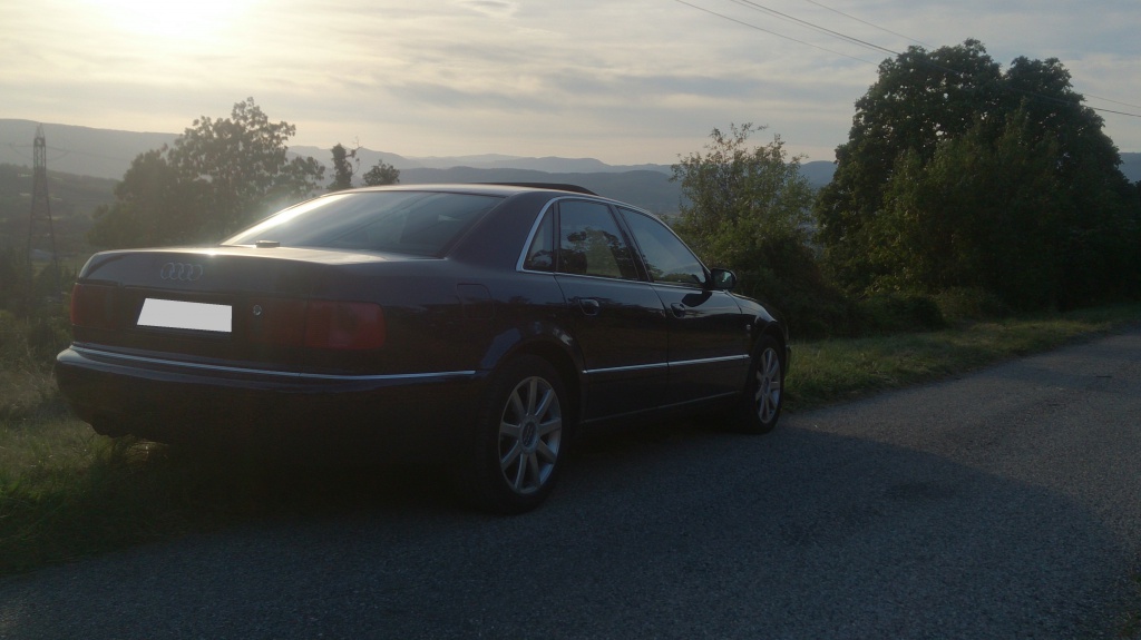 331383DSC1057.jpg