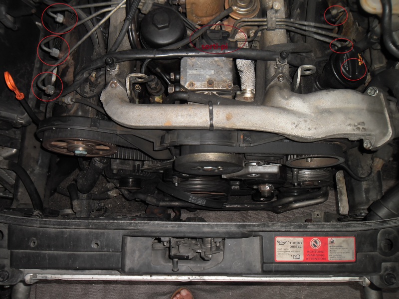 331975SAM0558.jpg