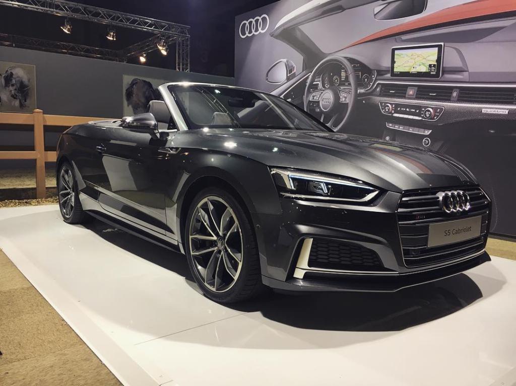 333199S5B90584.jpg