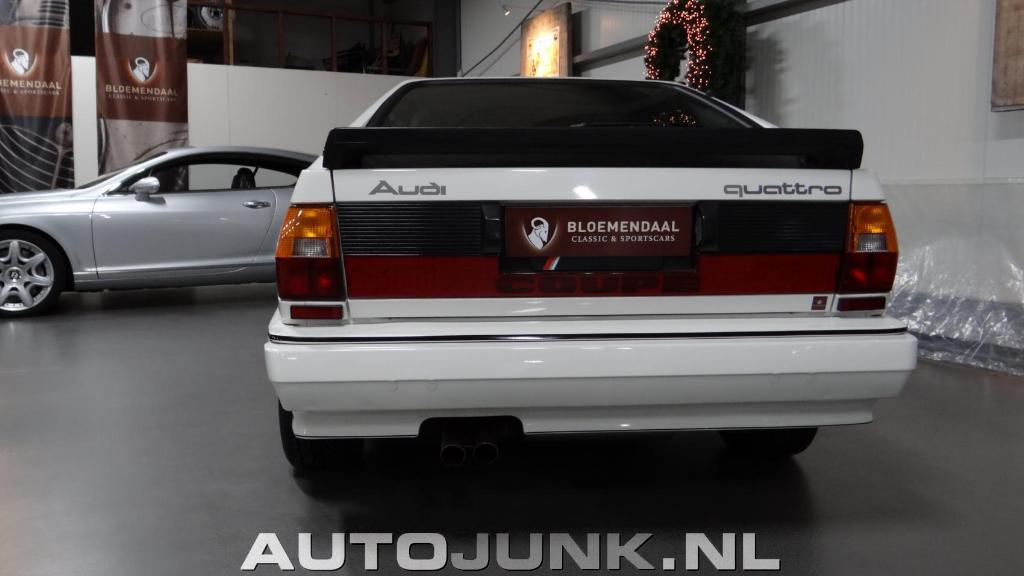 336571URQUATTRO1615.jpg