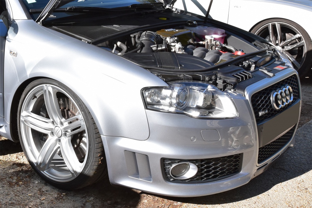 337610DSC03372.jpg