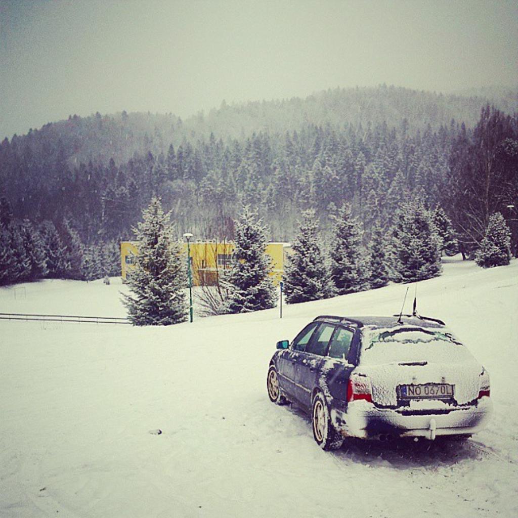 3377311188NEIGE.jpg