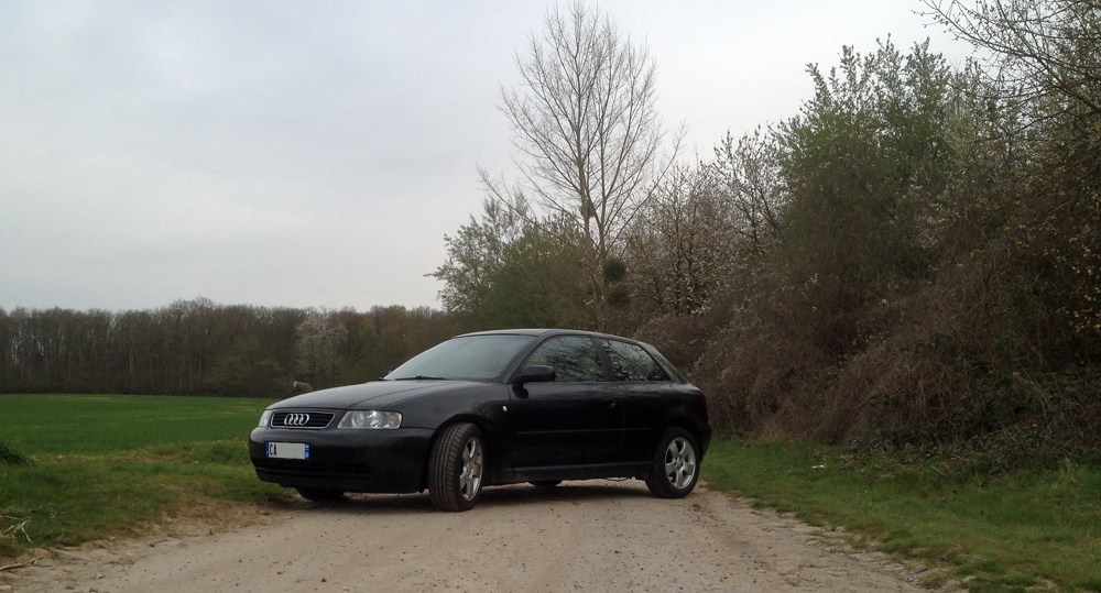 337825IMG5419b.jpg