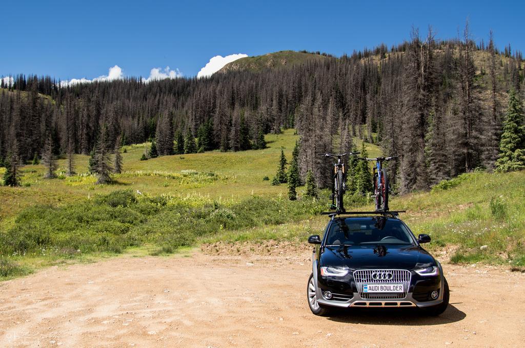 3378301461AUDIA4ALLROAD.jpg