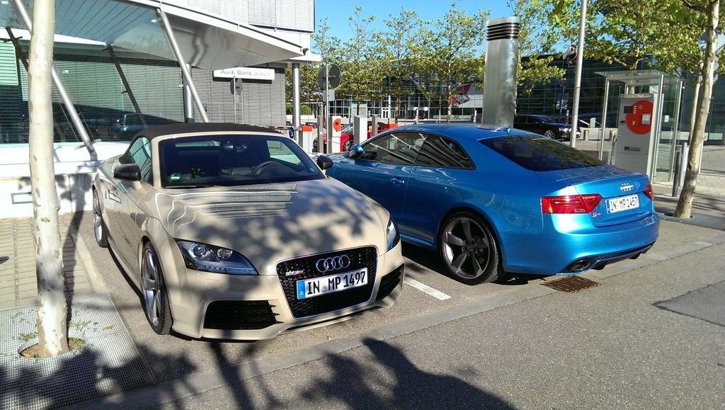 338938AUDITTRS827.jpg