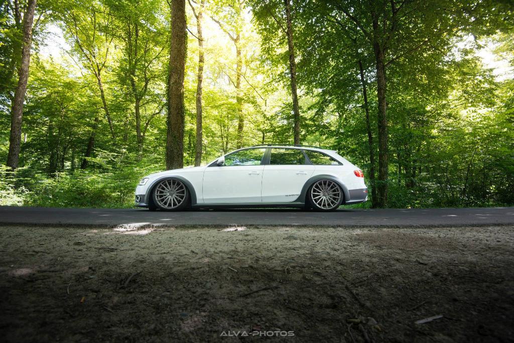 3391631376AUDIA4ALLROAD.jpg